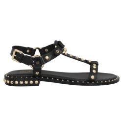 ASH Patsy Cuir Femme Black -Magasin De Chaussures De Mode ash patsy cuir femme black 2